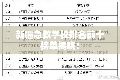 新疆急救学校排名前十榜单揭晓！