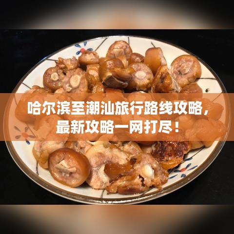 哈尔滨至潮汕旅行路线攻略，最新攻略一网打尽！