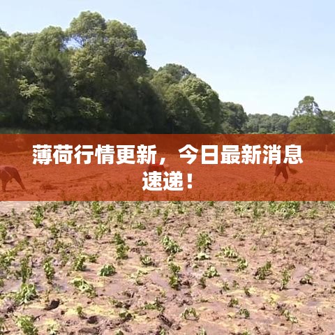 闻所未闻 第2页
