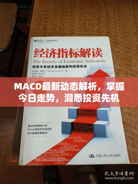 MACD最新动态解析，掌握今日走势，洞悉投资先机