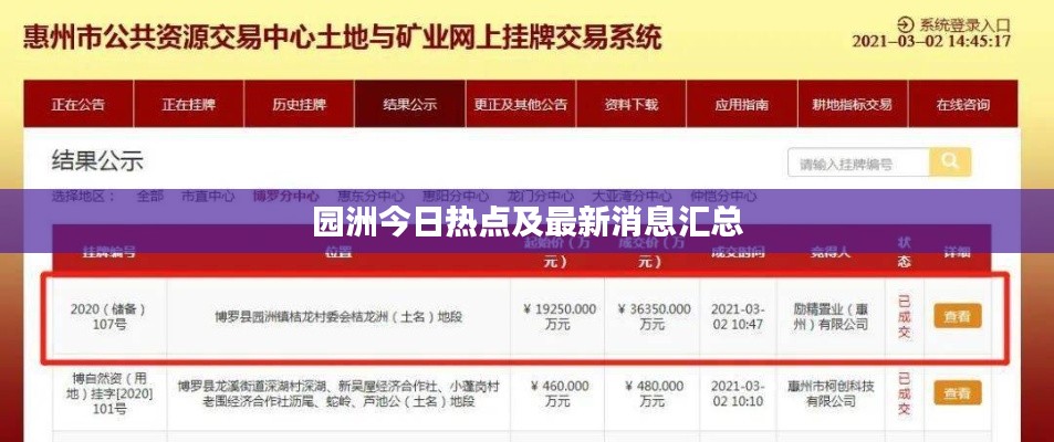 园洲今日热点及最新消息汇总