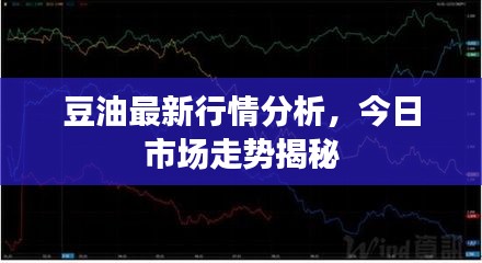 豆油最新行情分析，今日市场走势揭秘