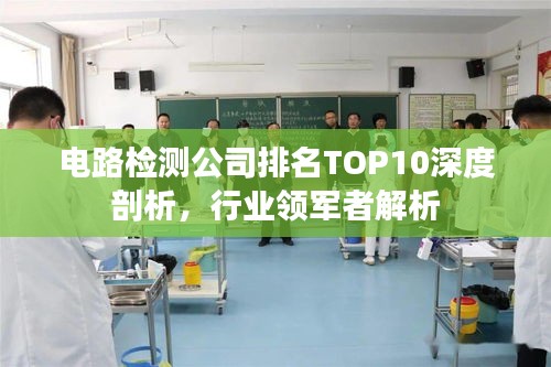 电路检测公司排名TOP10深度剖析，行业领军者解析