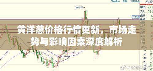 黄洋葱价格行情更新，市场走势与影响因素深度解析