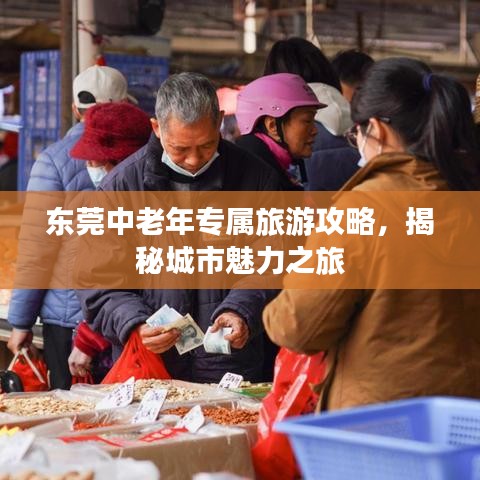东莞中老年专属旅游攻略，揭秘城市魅力之旅