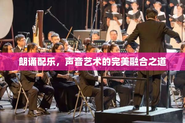 朗诵配乐，声音艺术的完美融合之道