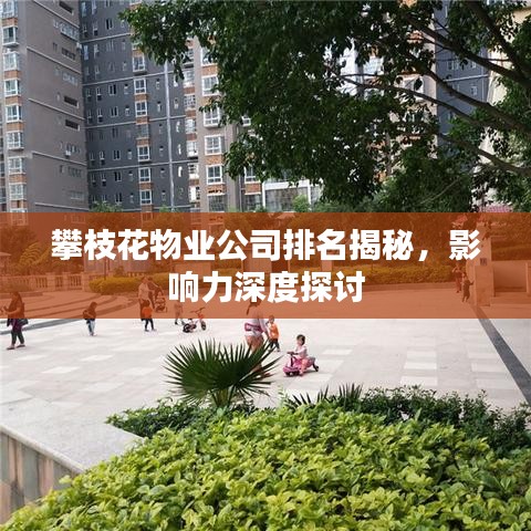 攀枝花物业公司排名揭秘，影响力深度探讨