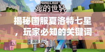 揭秘国服夏洛特七星，玩家必知的关键词解析