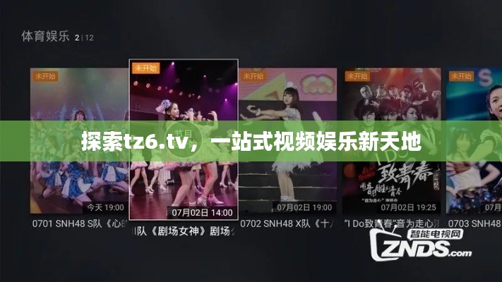 探索tz6.tv，一站式视频娱乐新天地