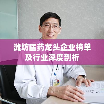 潍坊医药龙头企业榜单及行业深度剖析