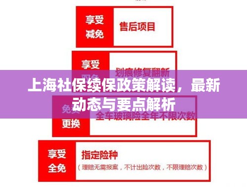 上海社保续保政策解读，最新动态与要点解析