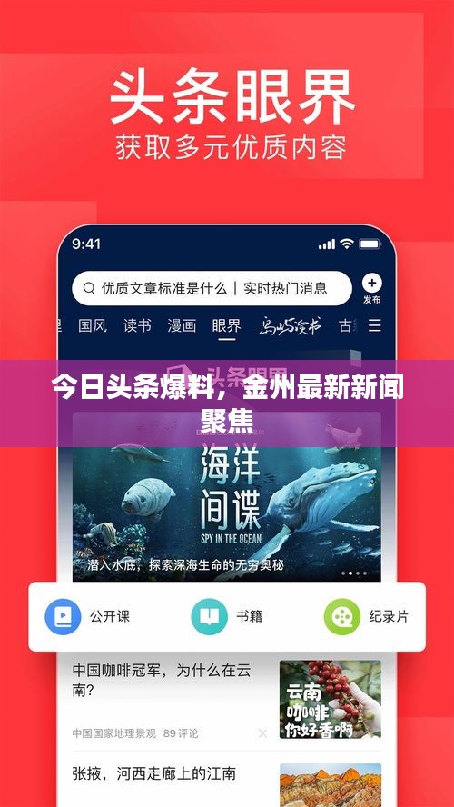 今日头条爆料，金州最新新闻聚焦