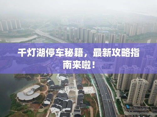 千灯湖停车秘籍，最新攻略指南来啦！