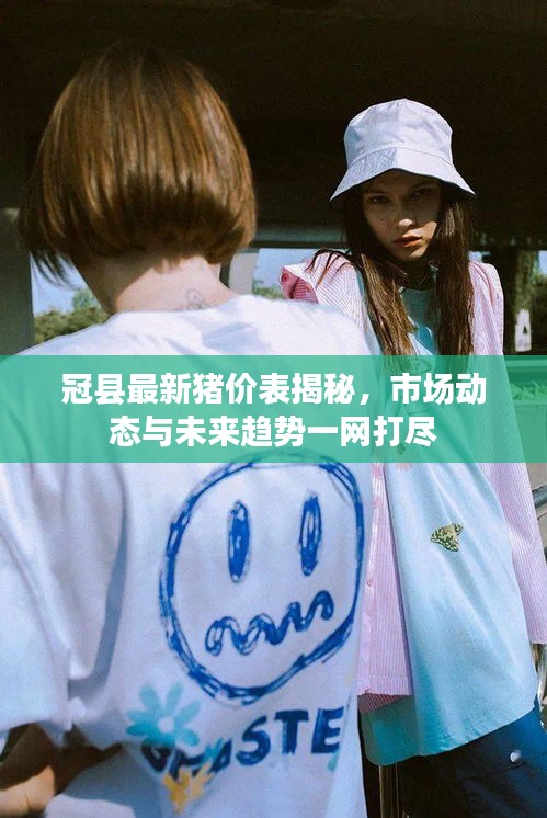 冠县最新猪价表揭秘，市场动态与未来趋势一网打尽