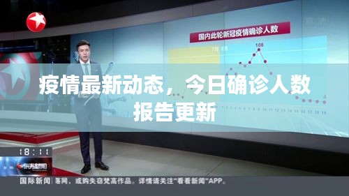 疫情最新动态，今日确诊人数报告更新