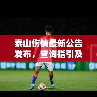 泰山伤情最新公告发布，查询指引及更新动态