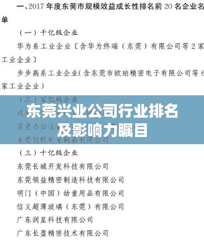 东莞兴业公司行业排名及影响力瞩目