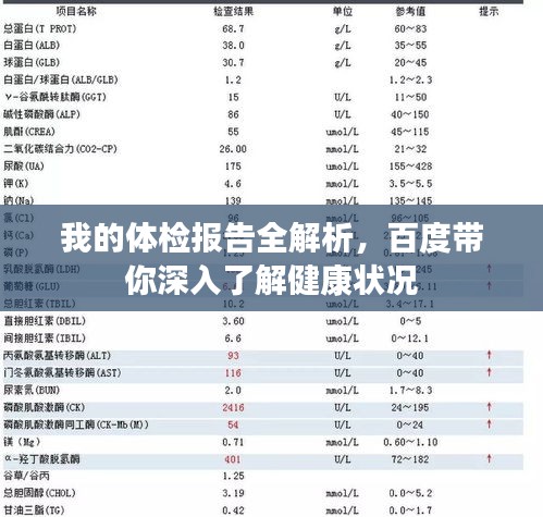 我的体检报告全解析，百度带你深入了解健康状况