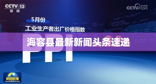 海容县最新新闻头条速递