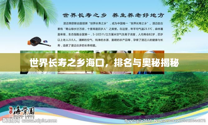 世界长寿之乡海口，排名与奥秘揭秘