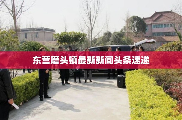 东营磨头镇最新新闻头条速递