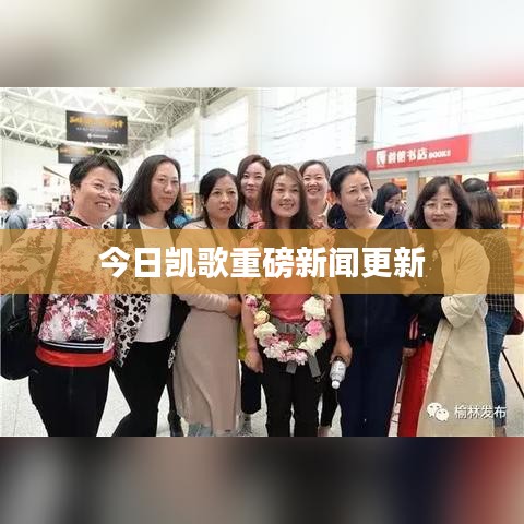 今日凯歌重磅新闻更新