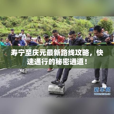 寿宁至庆元最新路线攻略，快速通行的秘密通道！