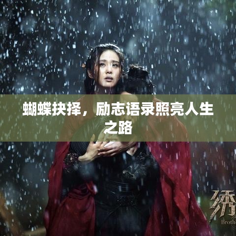 蝴蝶抉择，励志语录照亮人生之路