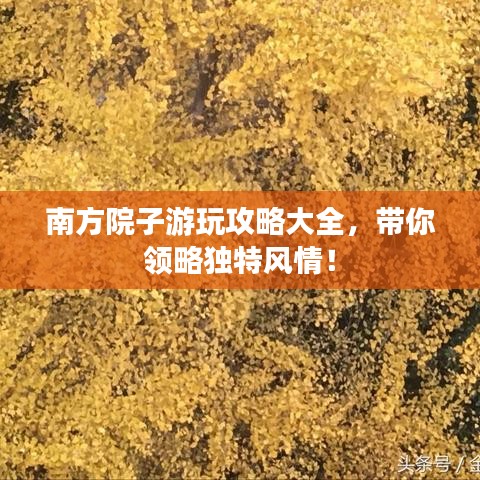 南方院子游玩攻略大全，带你领略独特风情！