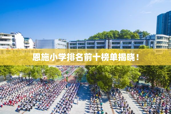 恩施小学排名前十榜单揭晓！