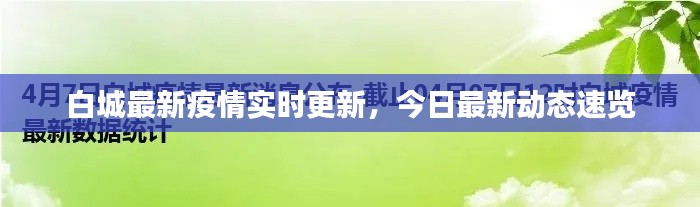 白城最新疫情实时更新，今日最新动态速览