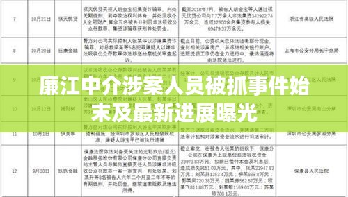廉江中介涉案人员被抓事件始末及最新进展曝光