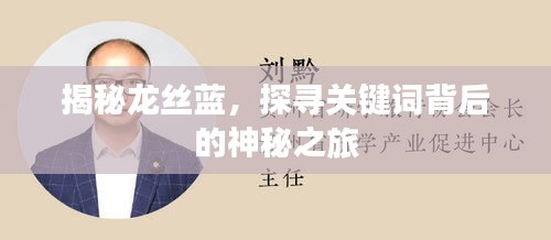 揭秘龙丝蓝，探寻关键词背后的神秘之旅