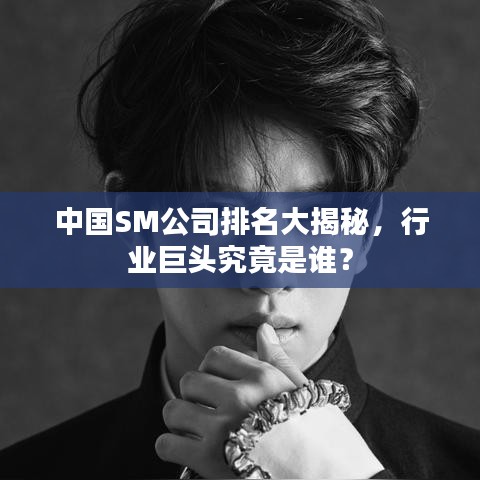 中国SM公司排名大揭秘，行业巨头究竟是谁？