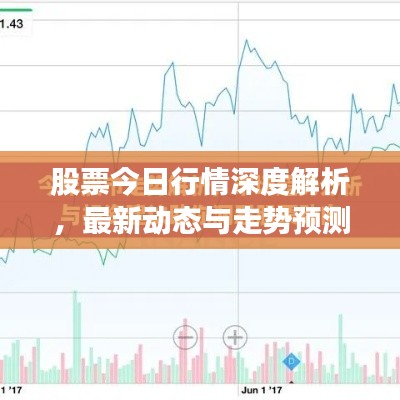 股票今日行情深度解析，最新动态与走势预测