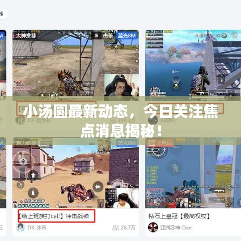 小汤圆最新动态，今日关注焦点消息揭秘！