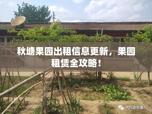 秋塘果园出租信息更新，果园租赁全攻略！
