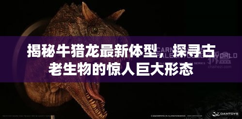 布被瓦器 第2页