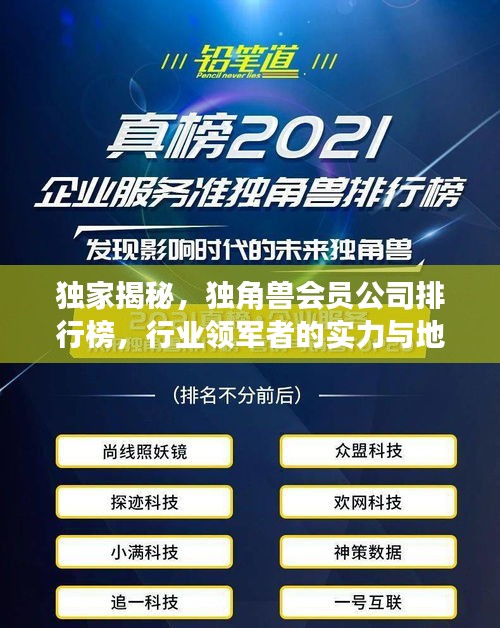 独家揭秘，独角兽会员公司排行榜，行业领军者的实力与地位展现
