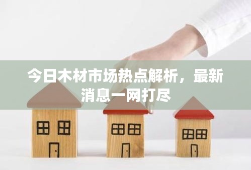 今日木材市场热点解析，最新消息一网打尽
