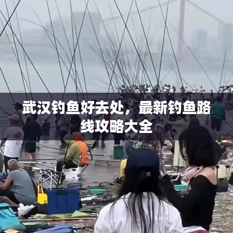 武汉钓鱼好去处，最新钓鱼路线攻略大全