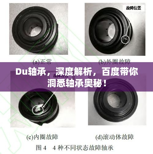Du轴承，深度解析，百度带你洞悉轴承奥秘！
