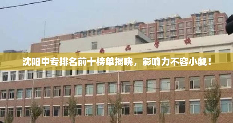 沈阳中专排名前十榜单揭晓，影响力不容小觑！