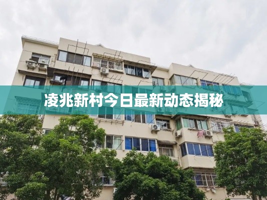 凌兆新村今日最新动态揭秘