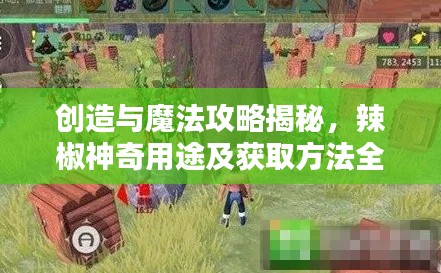 创造与魔法攻略揭秘，辣椒神奇用途及获取方法全解析