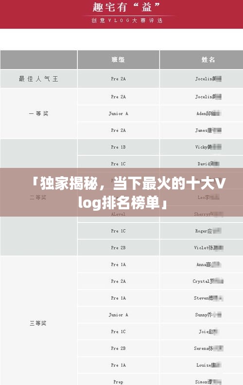 「独家揭秘，当下最火的十大Vlog排名榜单」