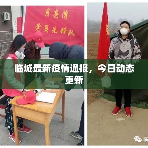 临城最新疫情通报，今日动态更新