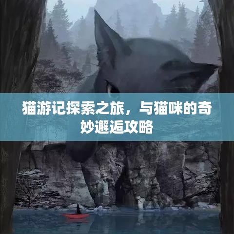 猫游记探索之旅，与猫咪的奇妙邂逅攻略