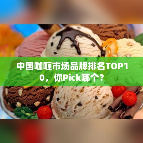 中国咖喱市场品牌排名TOP10，你Pick哪个？