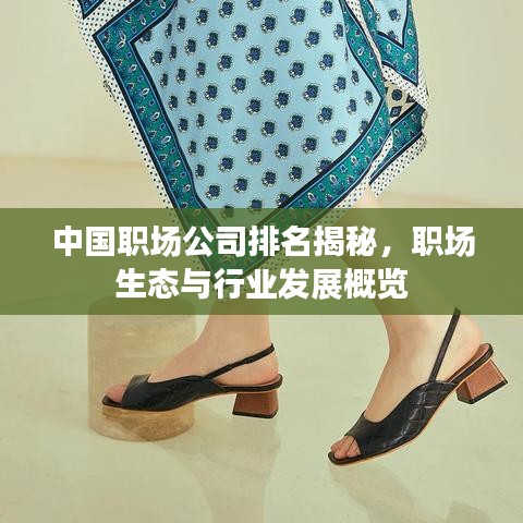 中国职场公司排名揭秘，职场生态与行业发展概览